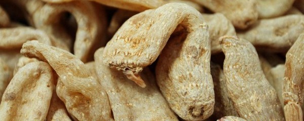 天麻的功效與作用吃法 你知道怎么吃天麻嗎