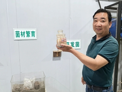 融合發展繪新卷，“茗新”振興正當時